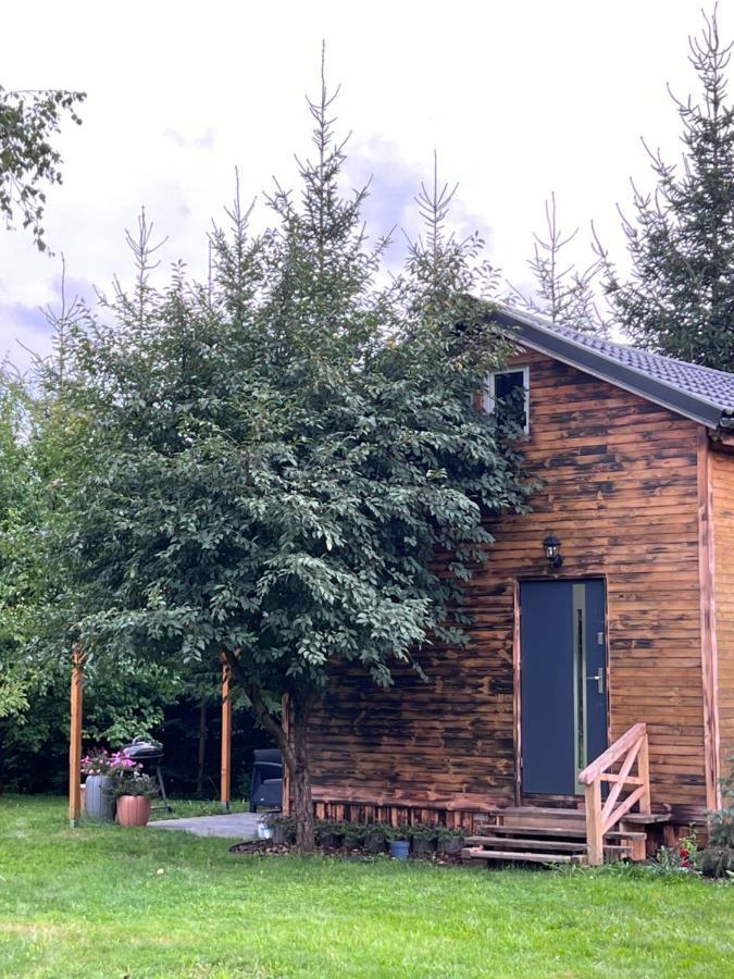 Villa Jezowka I Sudetka Jezow Sudecki Esterno foto